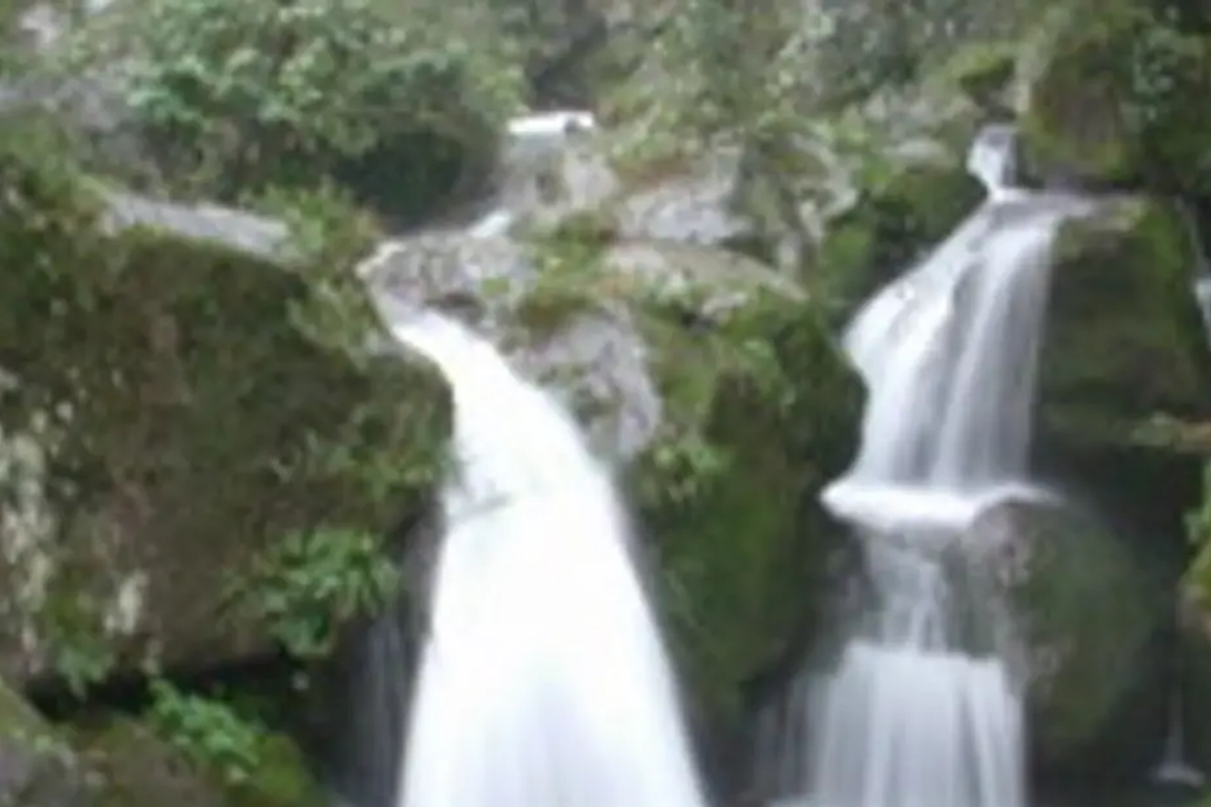 Mount Qingcheng and Dujiangyan Irrigation System Private Day Tour from Chengdu